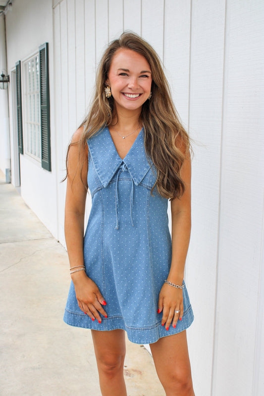 Florence Fit and Flare Denim Mini Dress