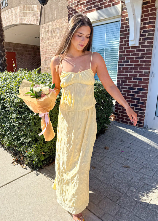 Andy Cami Top and Maxi Skirt Set