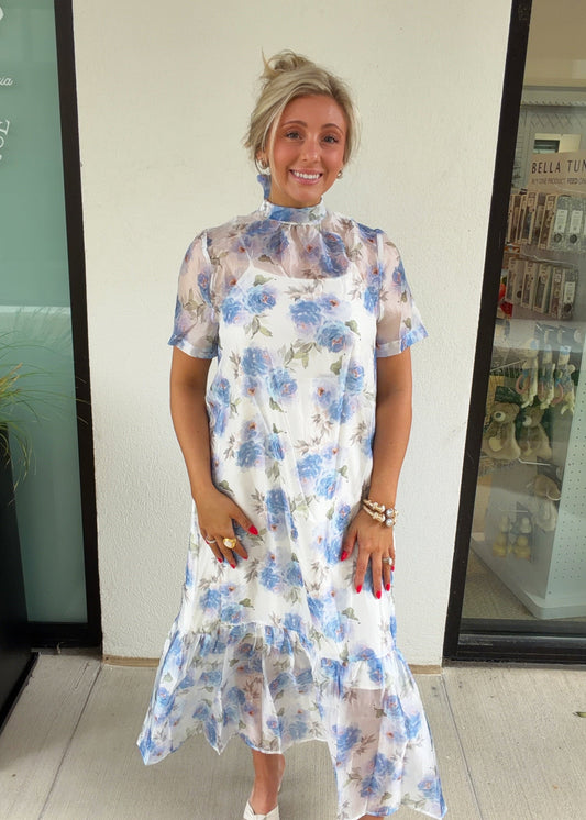 Camilla Sheer Dressy Midi Dress