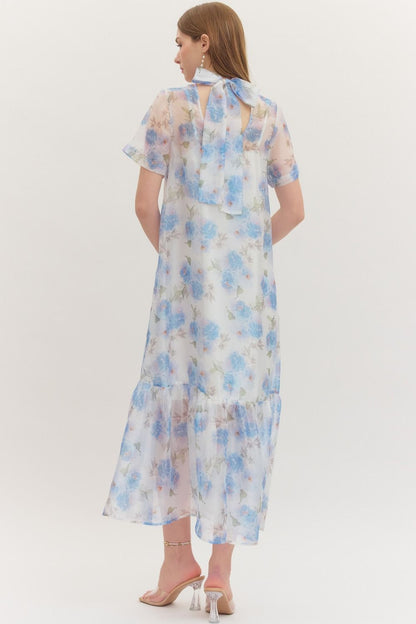 Camilla Sheer Dressy Midi Dress