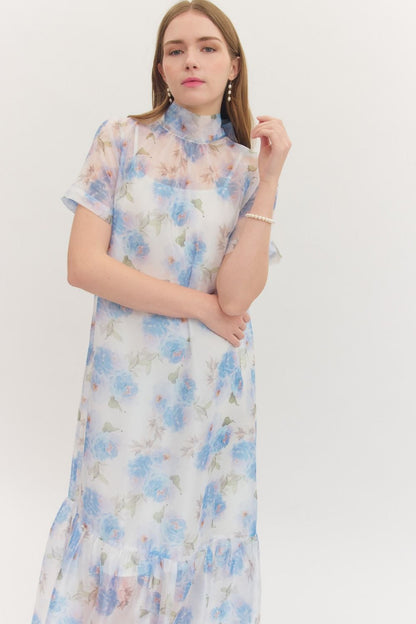 Camilla Sheer Dressy Midi Dress